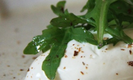 Le Puy green Lentils cream soup and porcini mushroom quenelle