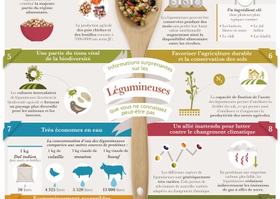 Infographie : ces choses étonnantes que vous ignoriez sur les légumineuses