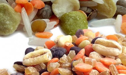 The Sabarot new Gourmet blends: a tasty solution to eat vegetable proteins.